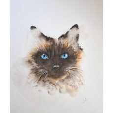 Blue Eyes