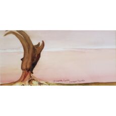 Antelope - after O'Keeffe