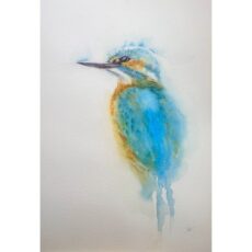 Kingfisher